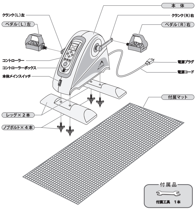 サイズ