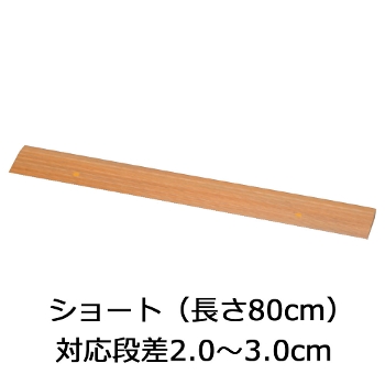 屋内用スロープ 段ない・ス ショート20 樹脂タイプ 幅80cm×高さ2.0cm