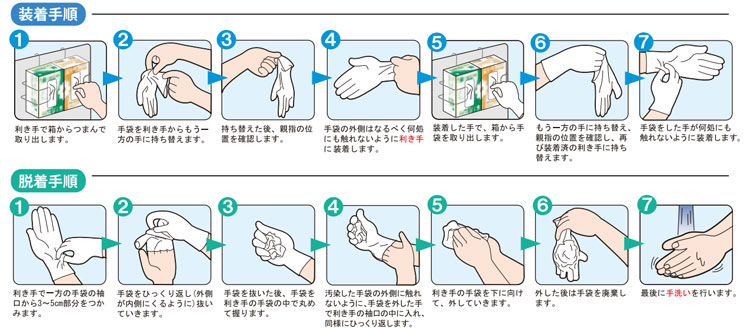 ハクゾウ プラスチックグローブＭＦ パウダーフリー 使い捨て手袋 1ケース（80枚入り×30箱）